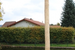 Schwalbenhaus