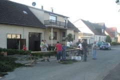 Girlande_2