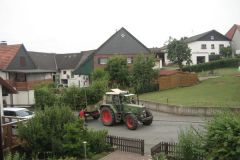 Vogel_u._Baumgrun_009