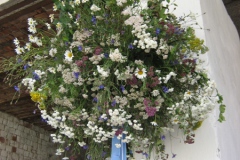 Busche_20.7._12_001