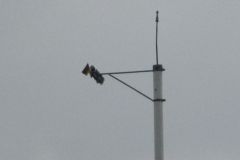 Vogelschiessen_26.7.10_117
