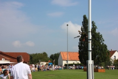 Vogel_28.7.14_-_IMG_1750016