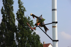 Vogel_28.7.14_-_IMG_1750020