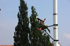 Vogel_28.7.14_-_IMG_1750021