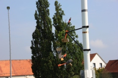 Vogel_28.7.14_-_IMG_1750023