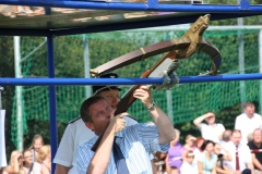 Vogel_28.7.14_-_IMG_1750029
