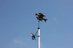 Vogel_28.7.14_-_IMG_1750033