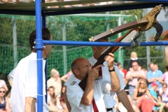 Vogel_28.7.14_-_IMG_1750037