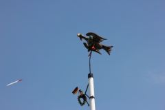 Vogel_28.7.14_-_IMG_1750046