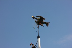 Vogel_28.7.14_-_IMG_1750047