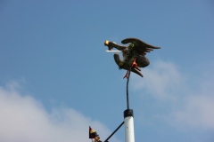 Vogel_28.7.14_-_IMG_1750053