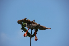 Vogel_28.7.14_-_IMG_1750054