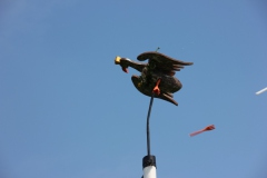 Vogel_28.7.14_-_IMG_1750055