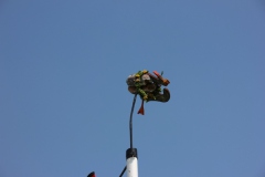 Vogel_28.7.14_-_IMG_1750060