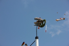 Vogel_28.7.14_-_IMG_1750063