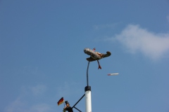 Vogel_28.7.14_-_IMG_1750066