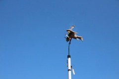 045_Vogelschiessen_23.07.2018_IMG_6833