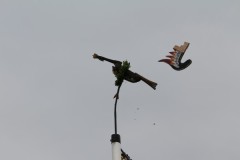 schuetzenfest_montag_2022_053