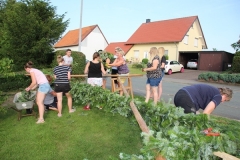 026_Girlanden_2019