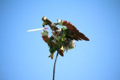 schuetzenfest_montag_2024_00056