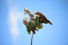 schuetzenfest_montag_2024_00066