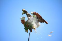 schuetzenfest_montag_2024_00067