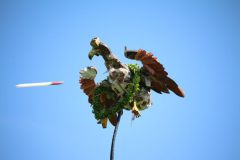 schuetzenfest_montag_2024_00070