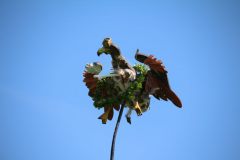 schuetzenfest_montag_2024_00071