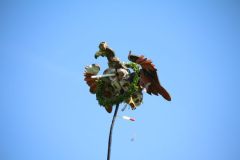 schuetzenfest_montag_2024_00072