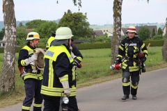 IMG_0891_FWT_4.6.2016_06