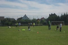 DB-Training