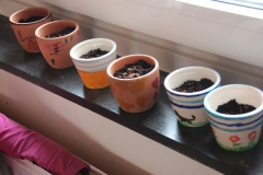 WGT_Kinder_2014_10
